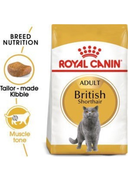British Shorthair Yetişkin Kedi Maması 2 kg
