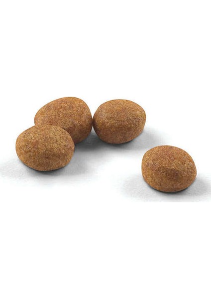 Sterilised 37 Kısırlaştırılmış Kedi Maması 400 gr modelleri