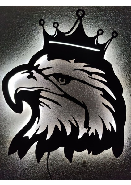 Kartal Işıklı Tablo