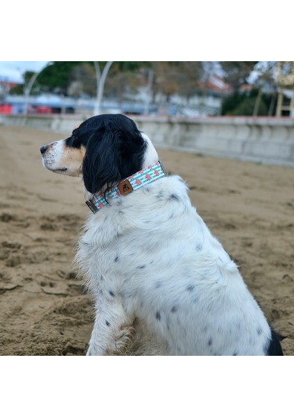 Giraffe Köpek Boyun Tasması fiyatları