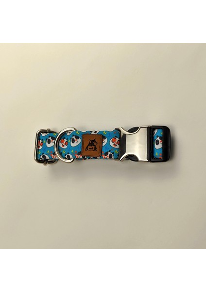 Pandas Köpek Boyun Tasması fırsatları