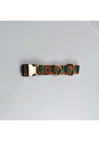 Peacock Köpek Boyun Tasması fırsatları