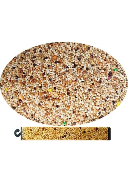 Gurme Muhabbet Kuşu Yemi 500 gr (3 Adet) fiyatları