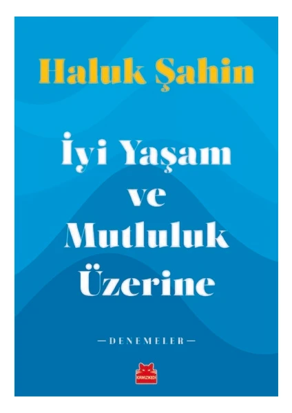 İyi Yaşam ve Mutluluk Üzerine - Haluk Şahin