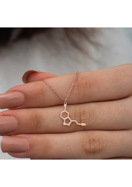 Dzg Silver Gümüş Serotonin Kolye Gümüş Kolye DN461