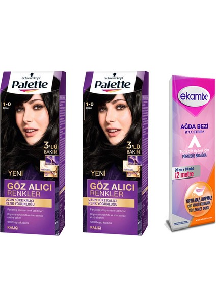 Palette Saç Boyası 1.0 Siyah 2 Adet