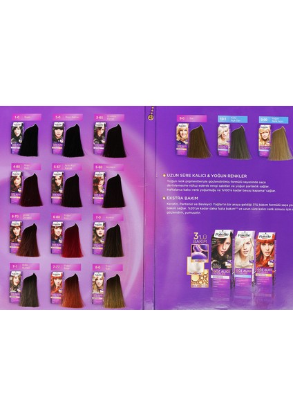 Palette Saç Boyası 10.1 Küllü Açık Sarı 2 Adet