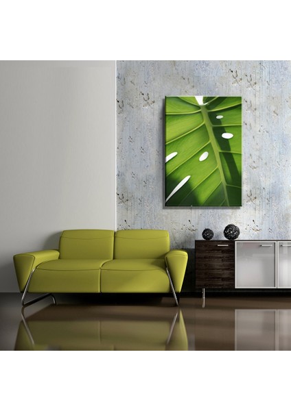 Salon Mutfak Yatak Odası Monstera Devetabanı Yaprağı (35X50CM) Kanvas Tablo TBL1456