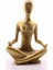 Yoga Yapan Kız Gold Biblo 1