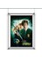 Harry Potter Duvar Poster Film 1 2 3 4 5 6 7 1