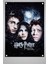 Harry Potter Duvar Poster Film 1 2 3 4 5 6 7 3