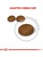 Hair And Skin Care Kuru Kedi Maması 2 kg 3