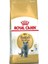 British Shorthair Yetişkin Kedi Maması 2 kg 1