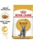 British Shorthair Yetişkin Kedi Maması 2 kg 2