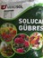 Organik Solucan Gübresi 3 kg 1