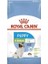 Royal Canin Xsmall Junior 1.5 kg Küçük Irk Yavru Köpek Maması 1