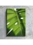Salon Mutfak Yatak Odası Monstera Devetabanı Yaprağı (35X50CM) Kanvas Tablo TBL1456 1