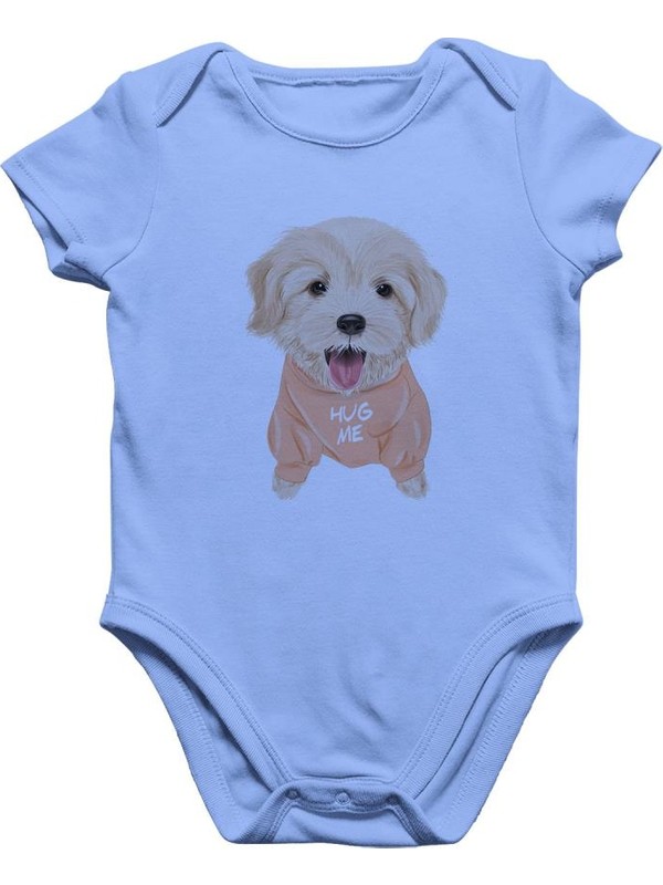 Angemiel Baby Sirin Golden Retriever Yavrusu Erkek Bebek Fiyati