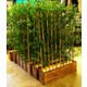 Dekor Ahşap Saksıda 1 Metre Boyunda Yapay Bambu Ağaç Çiçek Ağaç Bitki Çakıl Taşı Süs Kütük Tahta Saksı
