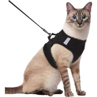 Bypet Kaçış Önleyici Kedi Gezdirme Tasması -Reflektörlü Kedi & Köpek Göğüs Tasması S - Siyah