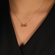 Adil İdil Kuyumculuk Plaka Aile Kolye