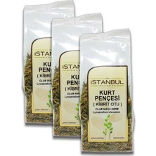 Istanbul Baharat Kurt Pençesi (Kibrit Otu) 3 X40 gr