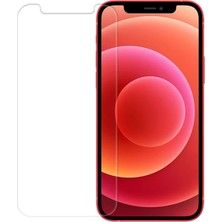 Hesaplı Dünya Apple iPhone 12 Mini 5.4" Nano Ekran Koruyucu Cam Micro Glass