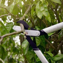 Fiskars 1020188 Powergear x Dal Kesme Makası Bypass L LX98