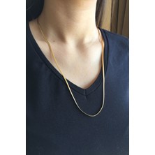 Axexuar Sarı Altın Kaplama Yassı Çelik Yılan Kolye Kadın Erkek 316L Çelik Kolye 50 cm