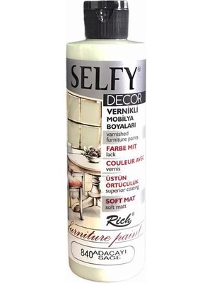 Rich Selfy Decor Vernikli Boya 240 cc - Adaçayı 840