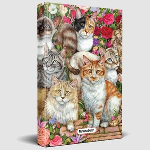 Halk Kitabevi Meraklı Kediler Süresiz Planlama Defteri