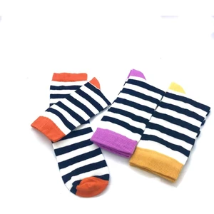 Black Arden Socks Renkli Çizgili 3'lü Kadın Çorap 36-40  BT-0031