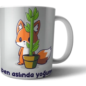 Tilki Ben Aslında Yoğum Kupa Bardak