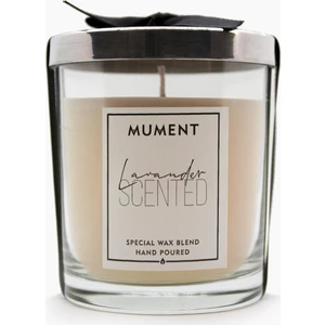 Chic Serisi Parlak Gri Kapaklı Lavanta Kokulu Bardak Mum