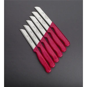 Tırtıklı Simli Pembe Store Meyve ve Sebze Bıçağı