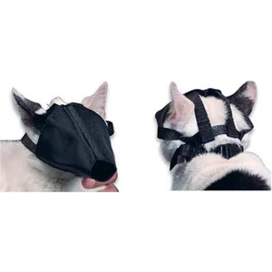 Kedi Ağızlığı Nalyon