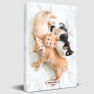 Halk Kitabevi Oyuncu Kediler Süresiz Planlama Defteri