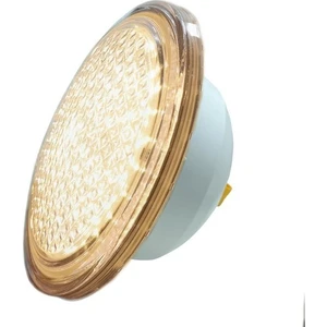 32 Watt Gün Işığı Smd LED Havuz Ampulu / Par 56