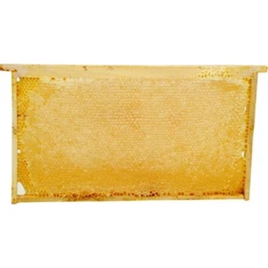 Erzurum Çiçek Petek Balı 2800 gr
