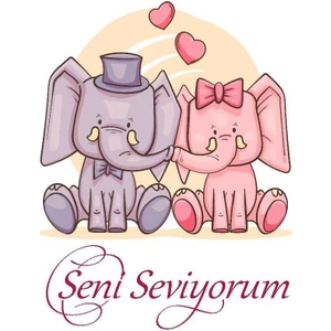 Sevgiliye Tebrik Kartı