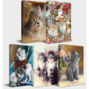 Halk Kitabevi Kedili Defter Seti - 5 Defter V2