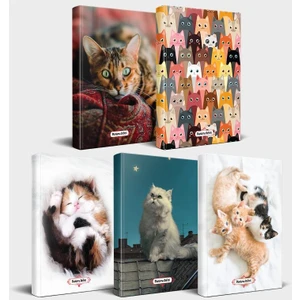 Halk Kitabevi Kedili Defter Seti - 5 Defter V1