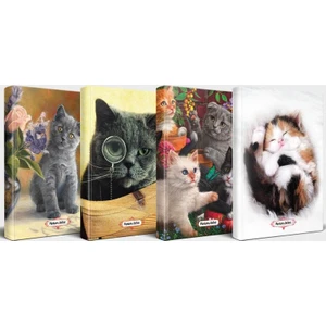 Halk Kitabevi Kedili Defter Seti - 4 Defter V4