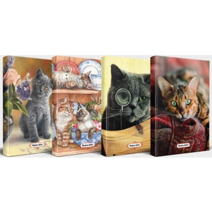 Halk Kitabevi Kedili Defter Seti - 4 Defter V3