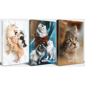 Halk Kitabevi Kedili Defter Seti - 3 Defter V2