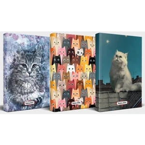 Halk Kitabevi Kedili Defter Seti - 3 Defter V1