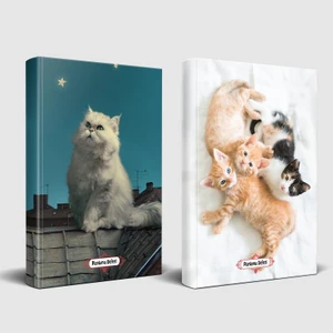 Halk Kitabevi Pamuk ve Oyuncu Kediler Planlama Defteri