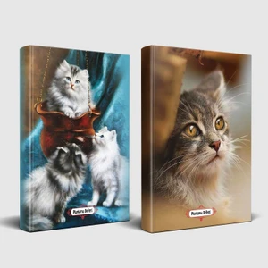 Halk Kitabevi Minik Patiler ve Minik Kedi Planlama Defteri