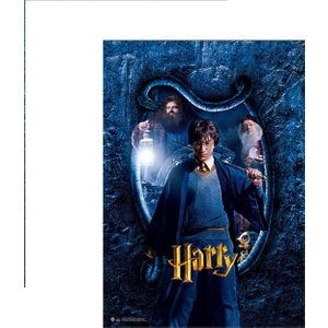 Sihir Dükkanı Wizarding World Poster - Hogwarts Karakter Harry B.