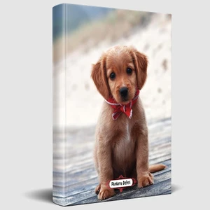 Halk Kitabevi Masum Köpekcik Planlama Defteri 13,5 x 19,5 cm